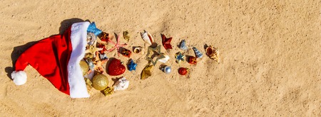 Christmas background on the beach with shells on the sand. Selective focus.の写真素材