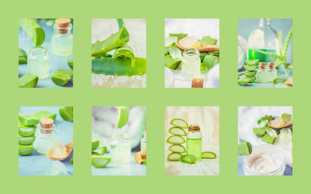 Collage Aloe Vera extract in a small bottle and pieces on the table.の写真素材