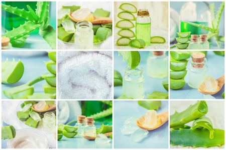 Collage Aloe Vera extract in a small bottle and pieces on the table.の写真素材