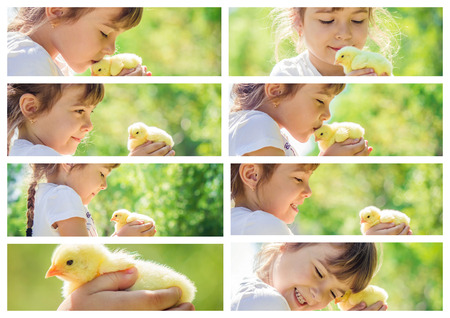 The child holds a chicken in his hands.の写真素材