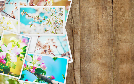 Spring flowering trees. Collage. Selective focus. nature.の写真素材