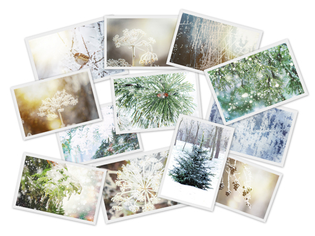 Winter photo collage. Selective focus. nature winter