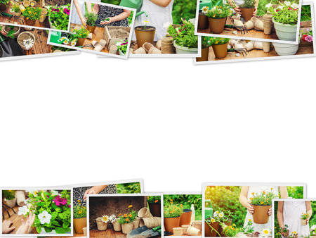 A little girl is planting flowers. The young gardener.の写真素材