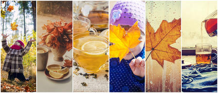Collage of children and autumn. Selective focus.の写真素材