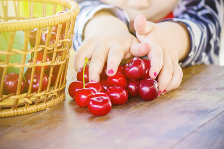 The child is picking cherries in the garden. Selective focus.の写真素材
