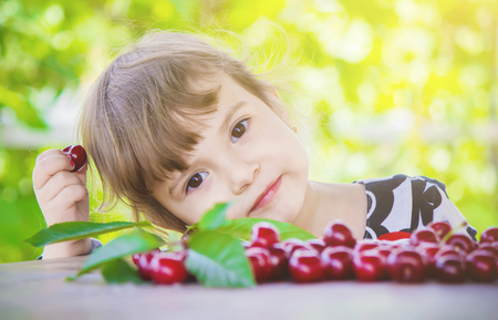 The child is picking cherries in the garden. Selective focus.の写真素材