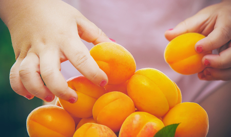 Child with apricots. Selective focus. food and drink.の写真素材