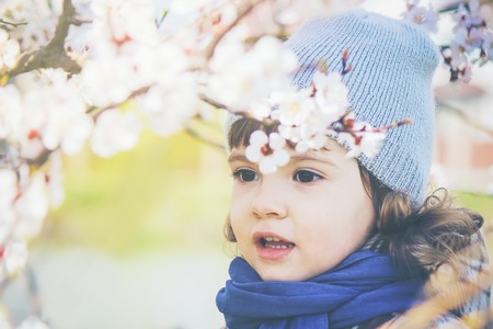 A child in a blooming garden. Selective focus.の写真素材