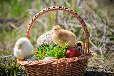 Easter. Easter decorations in a basket. Spring. Selective focus.の写真素材