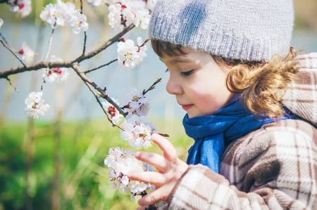A child in a blooming garden. Selective focus.の写真素材