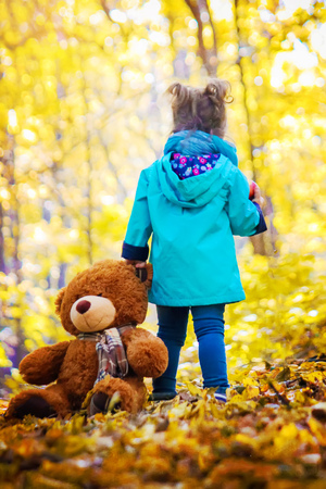 Child and autumn. Selective focus. nature. people.の写真素材
