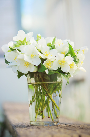 blooming Jasmine flowers. selective focus. nature flowers.の写真素材