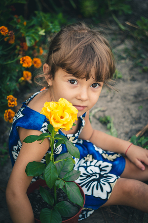 yellow rose young gardener. Selective focus. nature.の写真素材
