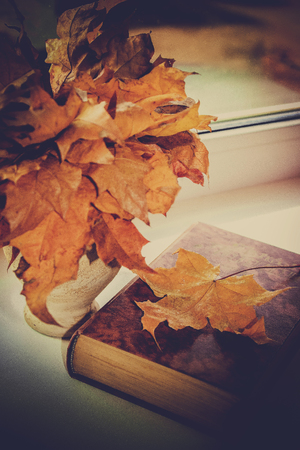 Autumn leaves and a book. Selective focus.の写真素材