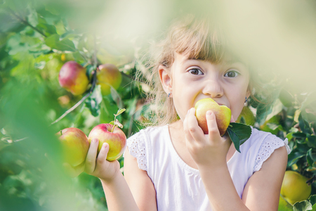Child with Child with an apple. Selective focus. Garden Foodの写真素材