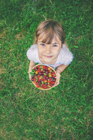 The child is picking cherries in the garden. Selective focus. nature.の写真素材