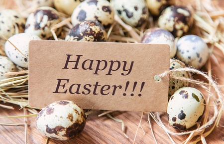 Easter photo. Happy easter. Eggs Selective focus holidayの写真素材