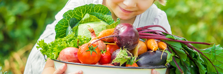 Child and vegetables on the farm. Selective focus. nature.の写真素材