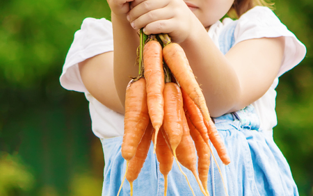 Child and vegetables on the farm. Selective focus. nature.の写真素材