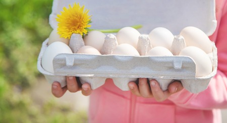 homemade eggs in the hands of a child. Selective focus. nature.
