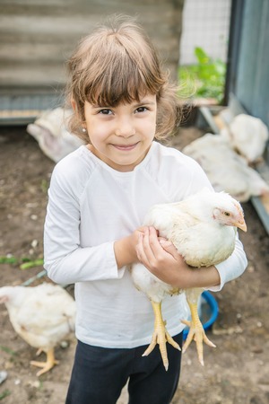 Bio chickens on a home farm a children. nature.の写真素材
