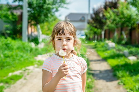 girl blowing dandelions in the air. selective focus.の写真素材