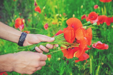man collects a bouquet of wildflowers. Poppies selective focus. nature.の写真素材