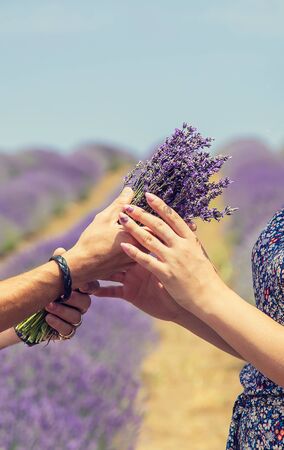 Lovers in the blooming field of lavender. Selective focus. nature.の写真素材