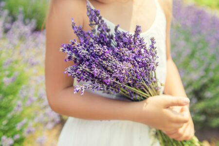 A child in a flowering field of lavender. Selective focus. nature.の写真素材