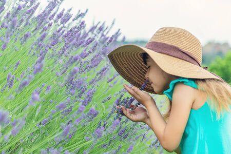 A child in a flowering field of lavender. Selective focus.の写真素材