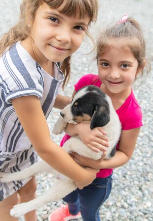 Children with a little puppy. Selective focus.の写真素材