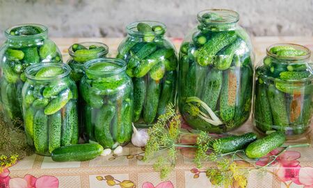 preservation of fresh house cucumbers. Selective focus. natureの写真素材