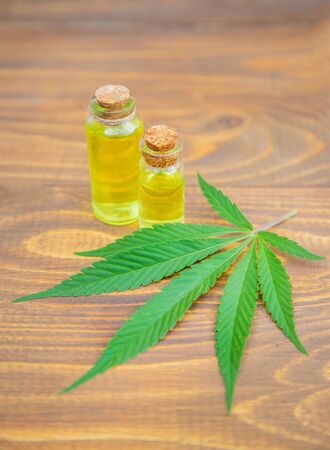 Cannabis herb and leaves for treatment broth, tincture, extract, oil. Selective focus. natureの写真素材