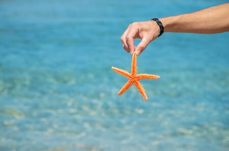 starfish on the beach in the hands of a man. Selective focus. nature.の写真素材