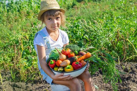 Child in the garden with vegetables in his hands. Selective focus.の写真素材