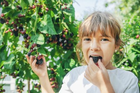 The child holds blackberries in the hands. Selective focus.