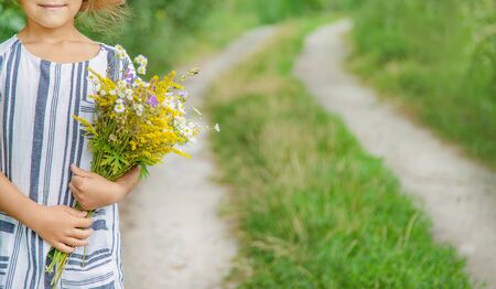 girl holding wildflowers in the hands of a child. Selective focus. nature.の写真素材