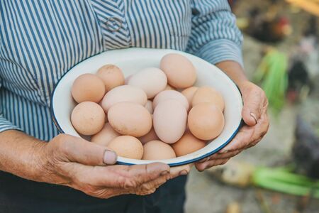 homemade eggs in grandmother's hands. Selective focus. nature.の写真素材