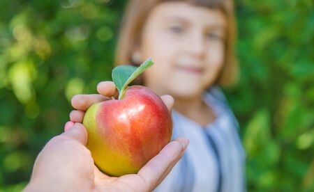 child with an apple in the garden. Selective focus.の写真素材