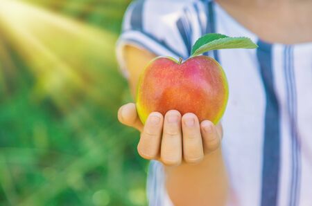 child with an apple in the garden. Selective focus. nature.の写真素材