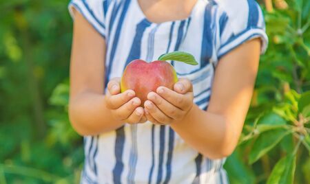 child with an apple in the garden. Selective focus. nature.の写真素材