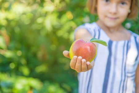 child with an apple in the garden. Selective focus.の写真素材
