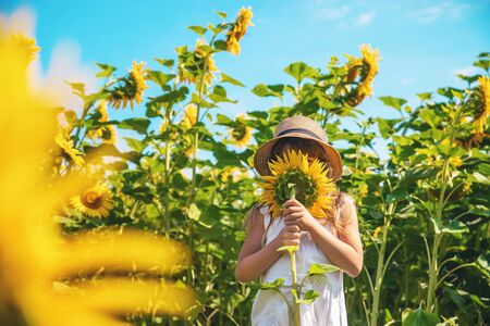 A child in a field of sunflowers. Selective focus.の写真素材