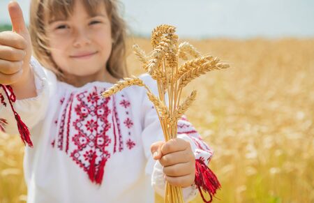 A child in a field of wheat in an embroidered shirt. Ukrainian. Selective focus.の写真素材