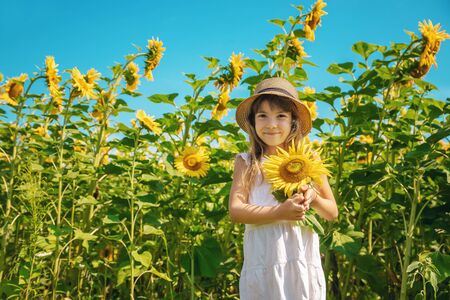 A child in a field of sunflowers. Selective focus.の写真素材