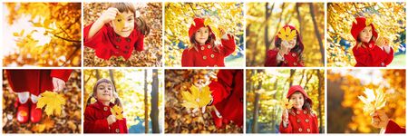 Collage and autumn children's photos. Selective focus.の写真素材