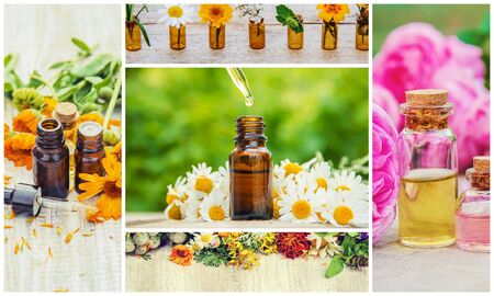 Collage of different pictures of extracts of herbs. Homeopathy. Selective focus. Nature.の写真素材