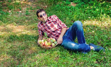 Man gardener picks apples in the garden in the garden. Selective focus.の写真素材