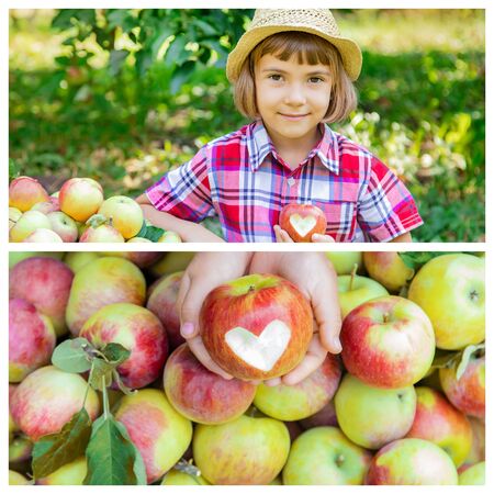 Collage of photos kids apple garden. Selective focus.
