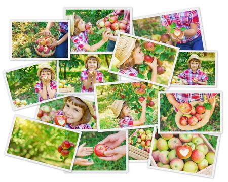 Collage of photos kids apple garden. Selective focus.の写真素材